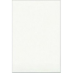 Шахтинская Плитка белая настенная глянцевая 200х300х7