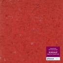 ТАРКЕТТ Линолеум Megalit 3390523 